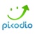 Picodio Digital Agency Logo