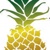 Pineapple Tweed Public Relations and Marketing Logo