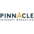 Pinnacle Internet Marketing Logo
