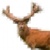 Pixel Stag Logo