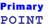 Primary Point, Inc. Logo