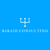 barashconsulting.com