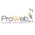 ProWeb Solutions Logo