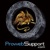 Prowebsupport Logo