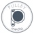 Pulley Media Logo