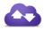 Platform Purple, Inc. Logo