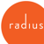 Radius Global Market Research Logo