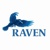 Raven Computers Ltd Logo