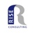 Rise Consulting Ltd Logo