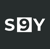 S9Y.ai Logo