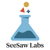 SeeSaw Labs Logo