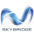 Skybridge Financial Logo