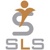Strategic Labor Solutions Logo