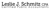 Leslie J Schmitz CPA Logotype