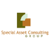 Special Asset Consulting Group Inc. Logo