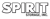 Spirit Storage, Inc. Logo