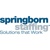 Springborn Staffing / LDT Human Capital Solutions Logo