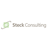 Steck Consulting Logo