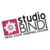 Studio Bindi Graphics Logo
