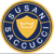 Susan Saccucci Real Estate Logo