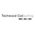 Techwood Consulting Logo