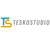 Teskostudio IT Support Logo