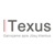 Texus Logo