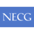 The New England Consulting Group Logo