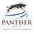 The Panther Group Logo