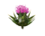 Provider Logotype Thistle Industrial Services Logo
