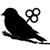 Tin Bird Productions Inc. Logo