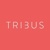 Tribus Digital Logo
