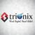 Trionix Logo