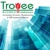 Troyee Software Logo
