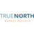 True North Market Insights Logo