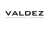 Provider Logotype Valdez Architects Logo