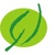 Verdant Zeal Logo