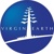 virgin earth Logo