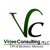 Virjee Consulting Logo