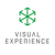 Visual Experience Logo