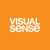 Visual Sense Logo