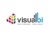 VISUAL BI SOLUTIONS Logo