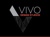 ViVo Design Studios Logo