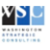 Washington Strategic Consulting Logo