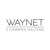 Waynet Logo