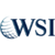 We Simplify the Internet (WSI) Logo