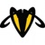 WebHornet Logo