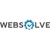 Websolve Marketing Logo