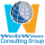 Webwise Consulting Group Logo
