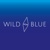 Wild Blue Digital Logo